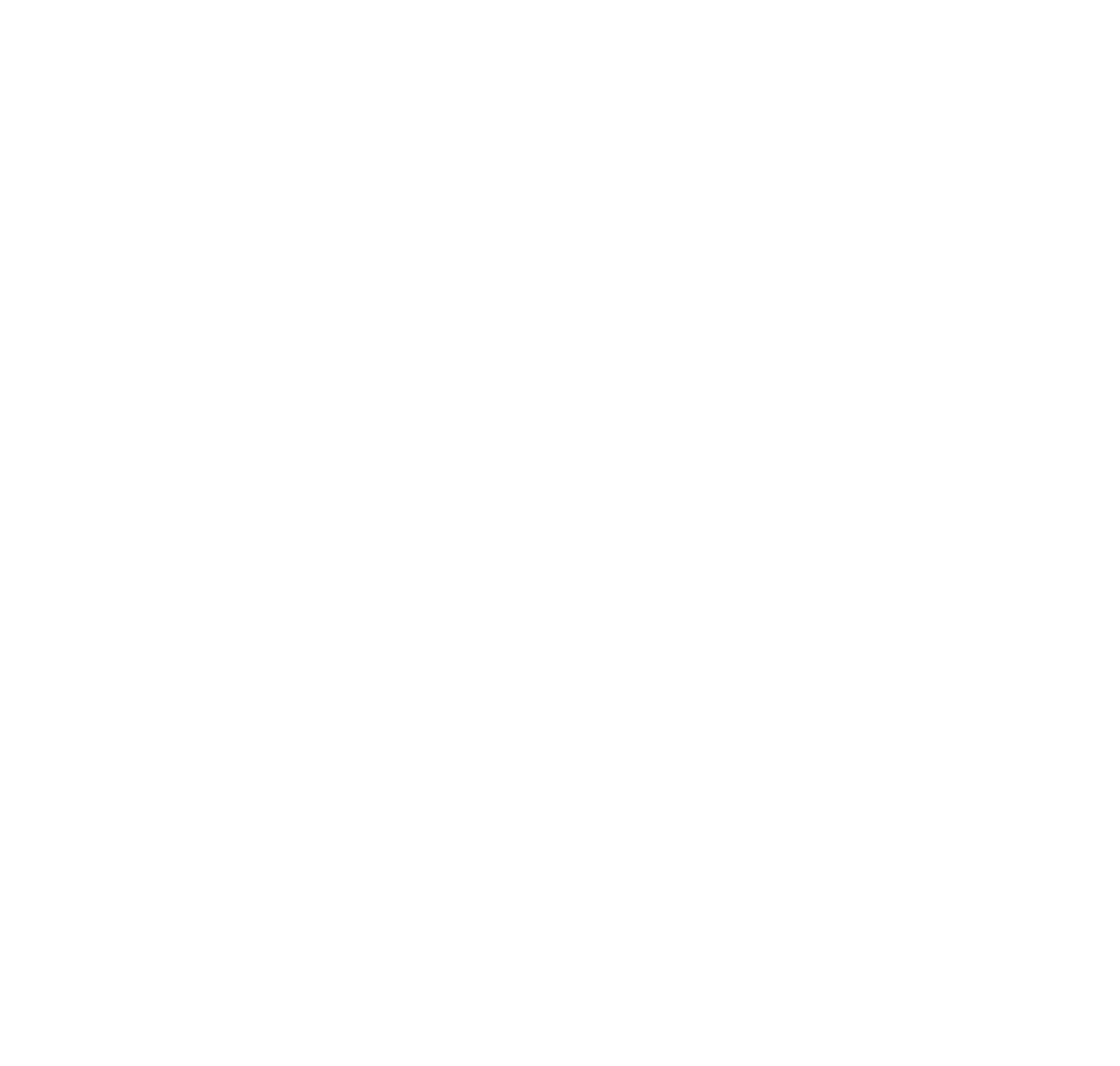 primary logo shelter club