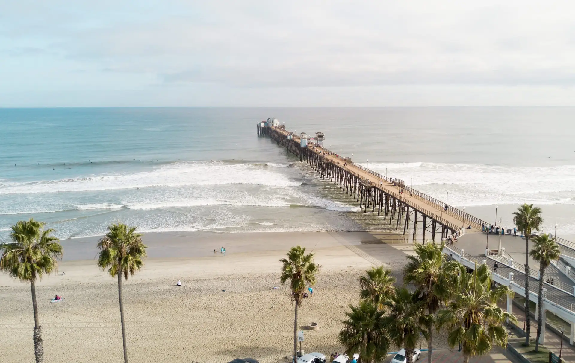 Wooden pier stretching into the ocean with palm-lined beach in the foreground, gentle waves, and soft skies hinting at golden hour.