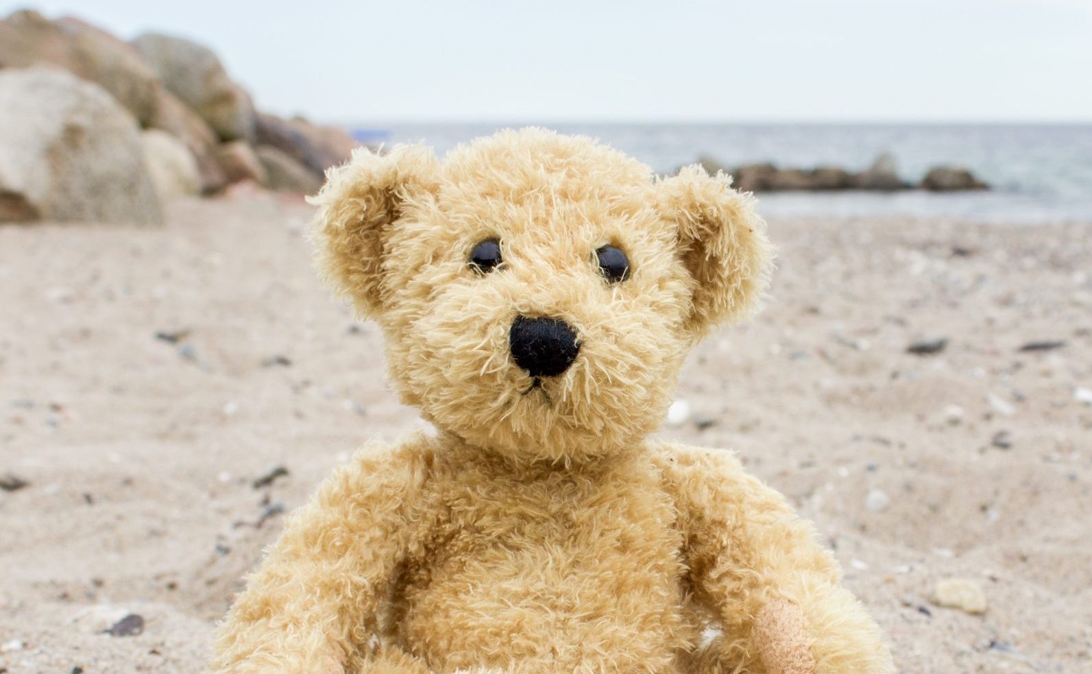 Teddy Bear on Beach