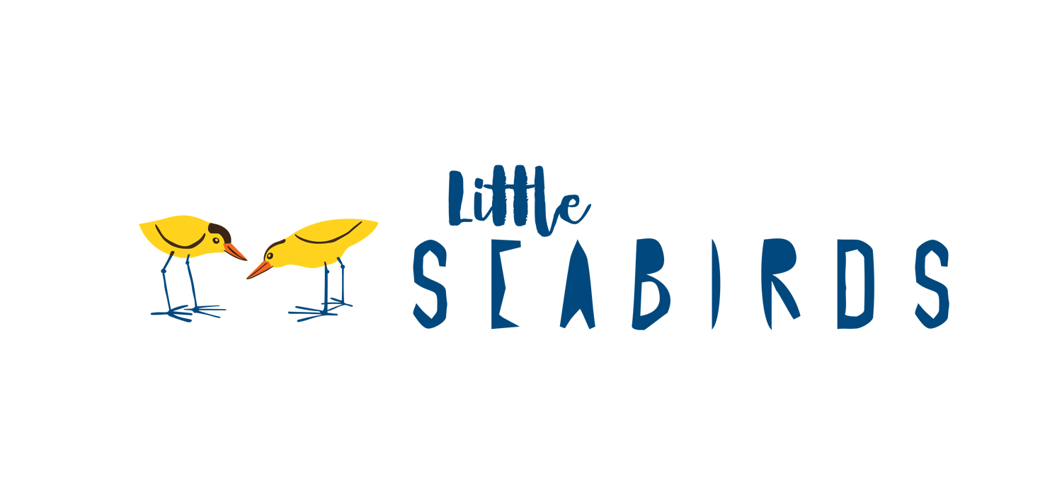 little seabirds banner logo