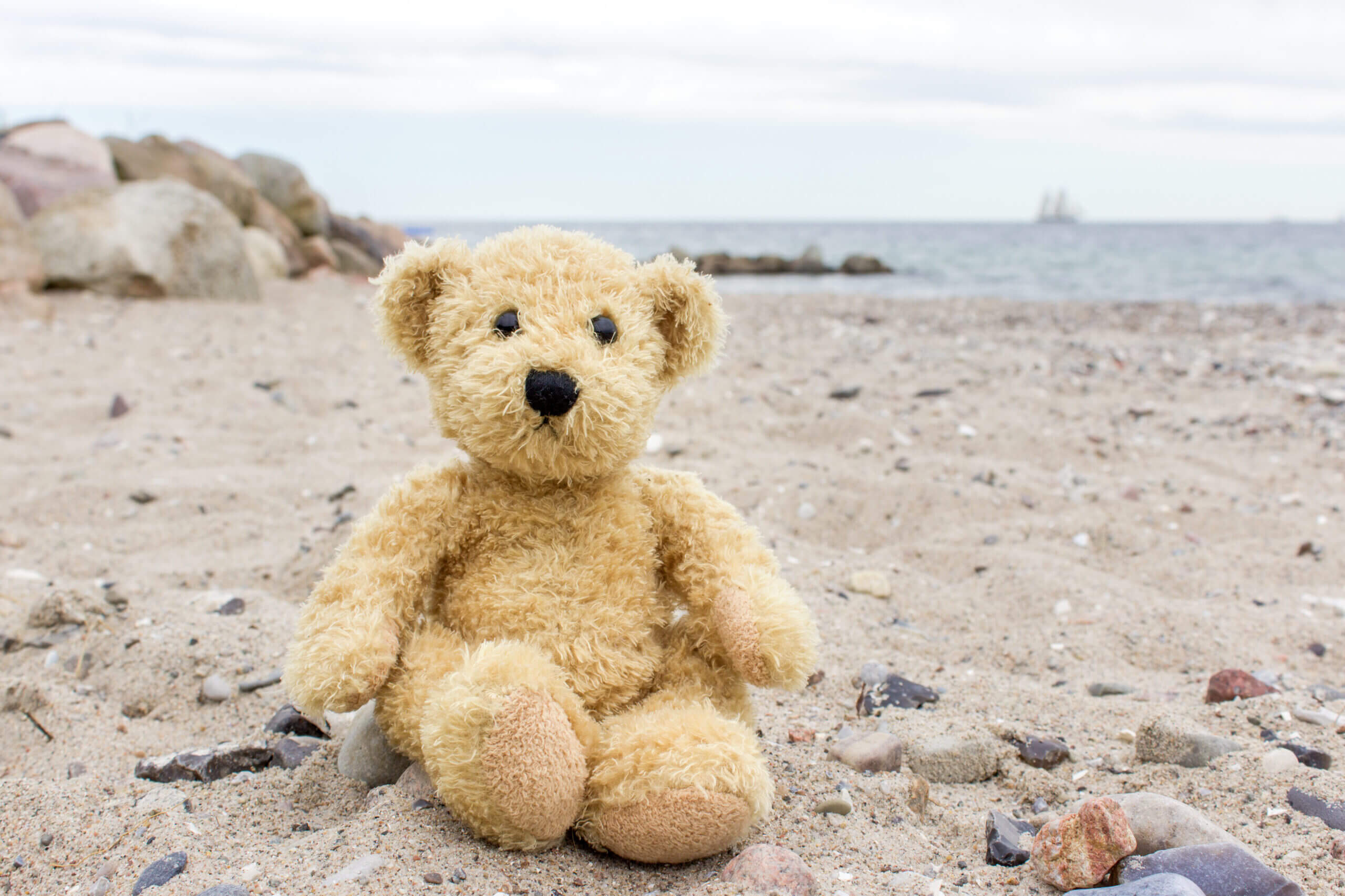 Teddy Bear by the beach
