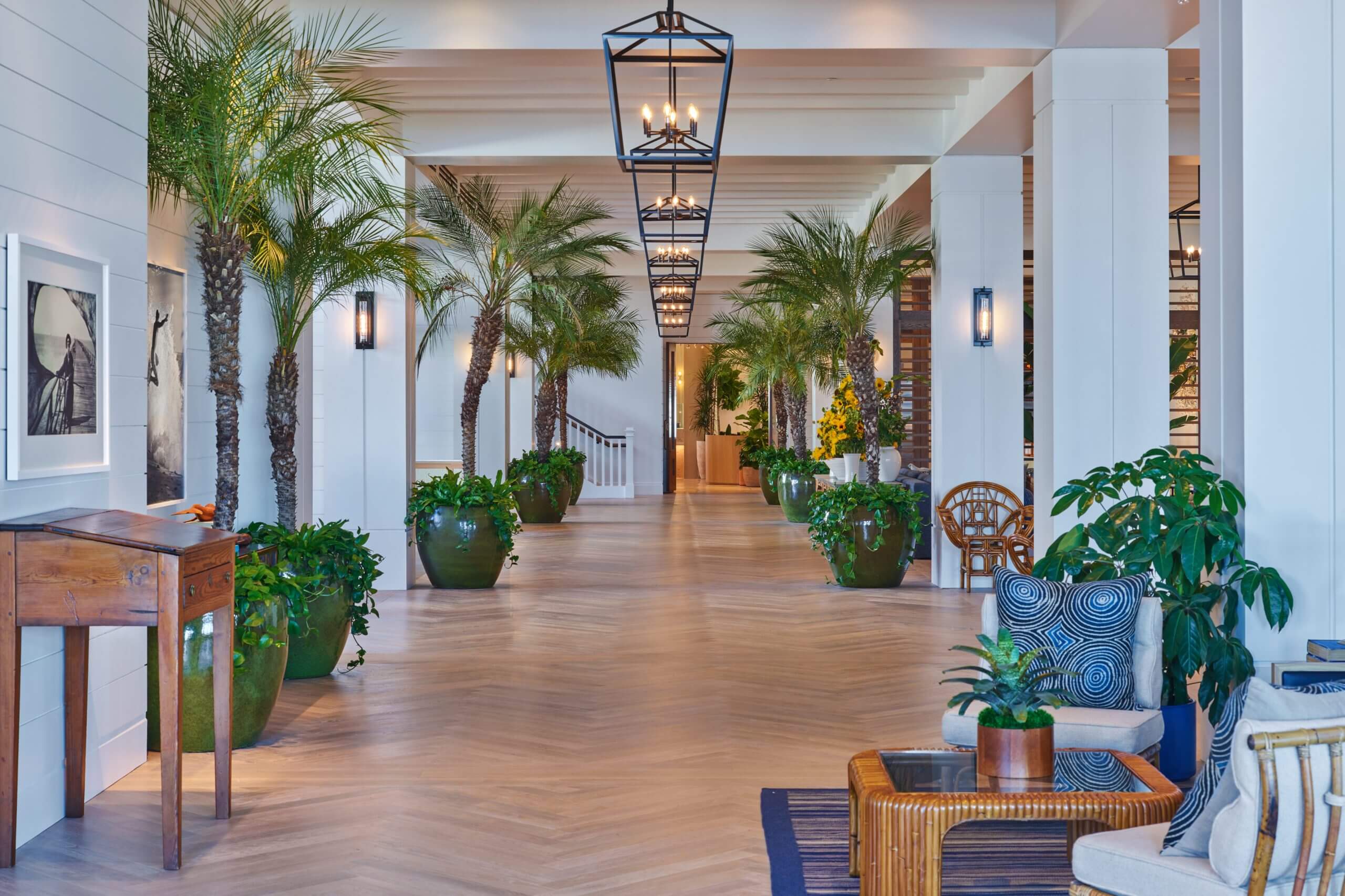 Lobby Hallway with Palm Trees with lights