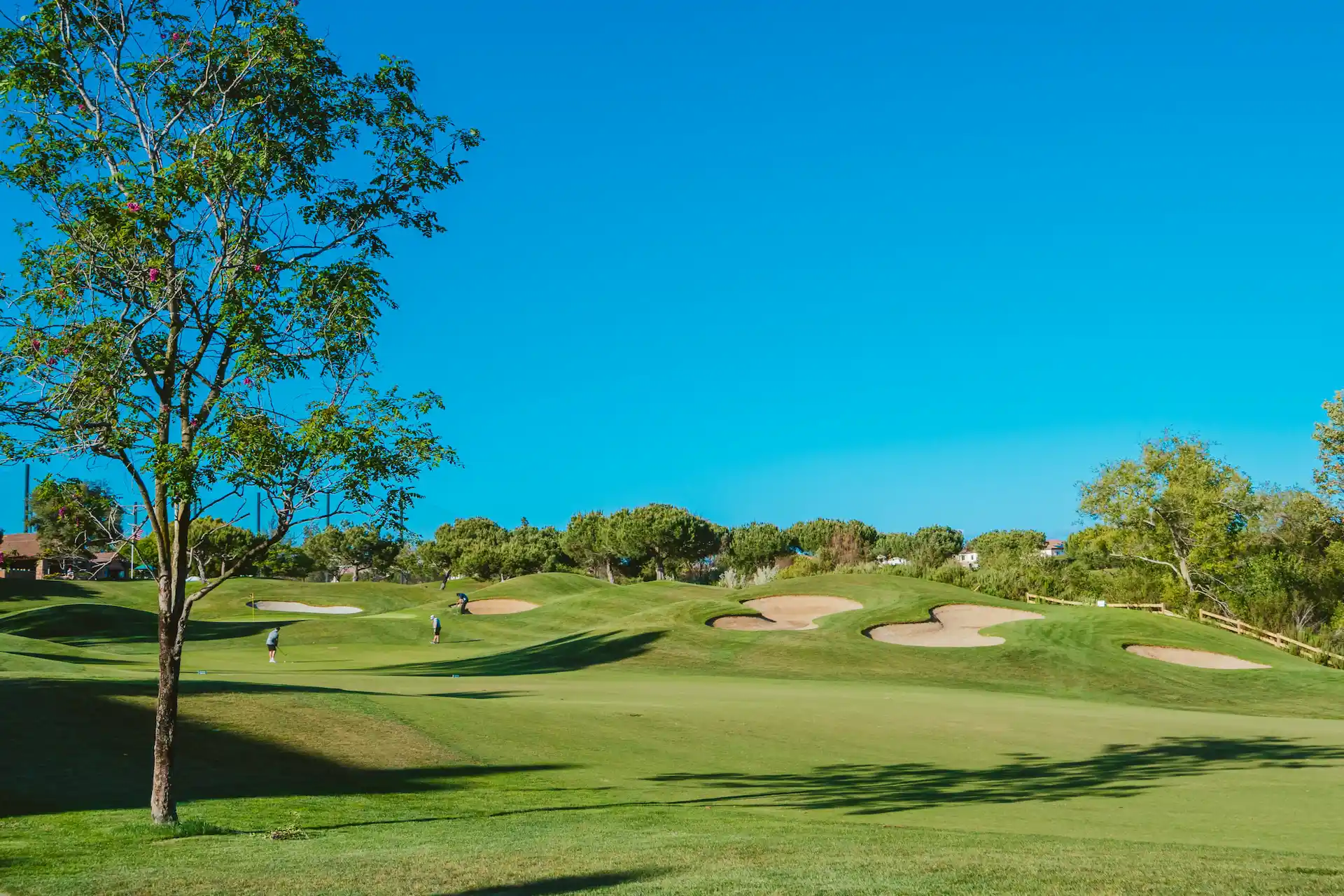 Scenic golf course with manicured greens, sand bunkers, scattered trees, and golfers playing under a clear blue sky.
