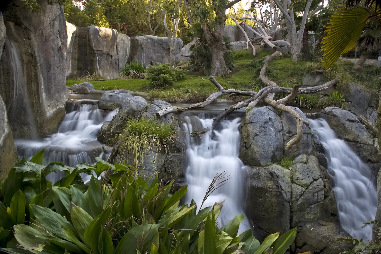 Scenic waterfall cascading over rocks amid lush green forest, with sunlight filtering through trees in a tranquil setting.