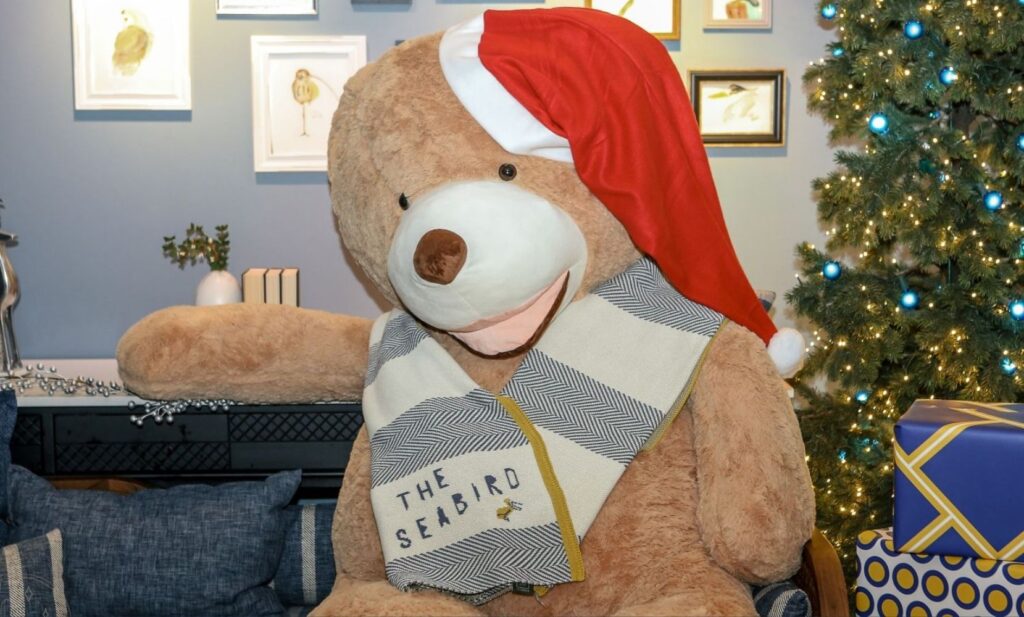 Photo of Sando the Bear